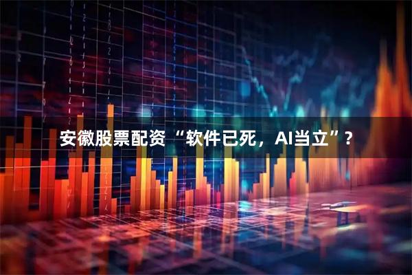 安徽股票配资 “软件已死，AI当立”？