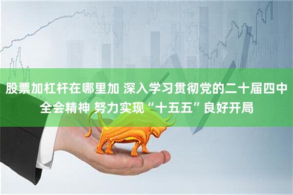 股票加杠杆在哪里加 深入学习贯彻党的二十届四中全会精神 努力实现“十五五”良好开局