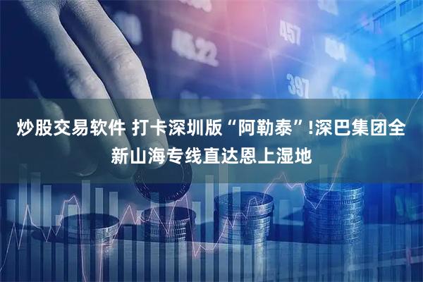 炒股交易软件 打卡深圳版“阿勒泰”!深巴集团全新山海专线直达恩上湿地
